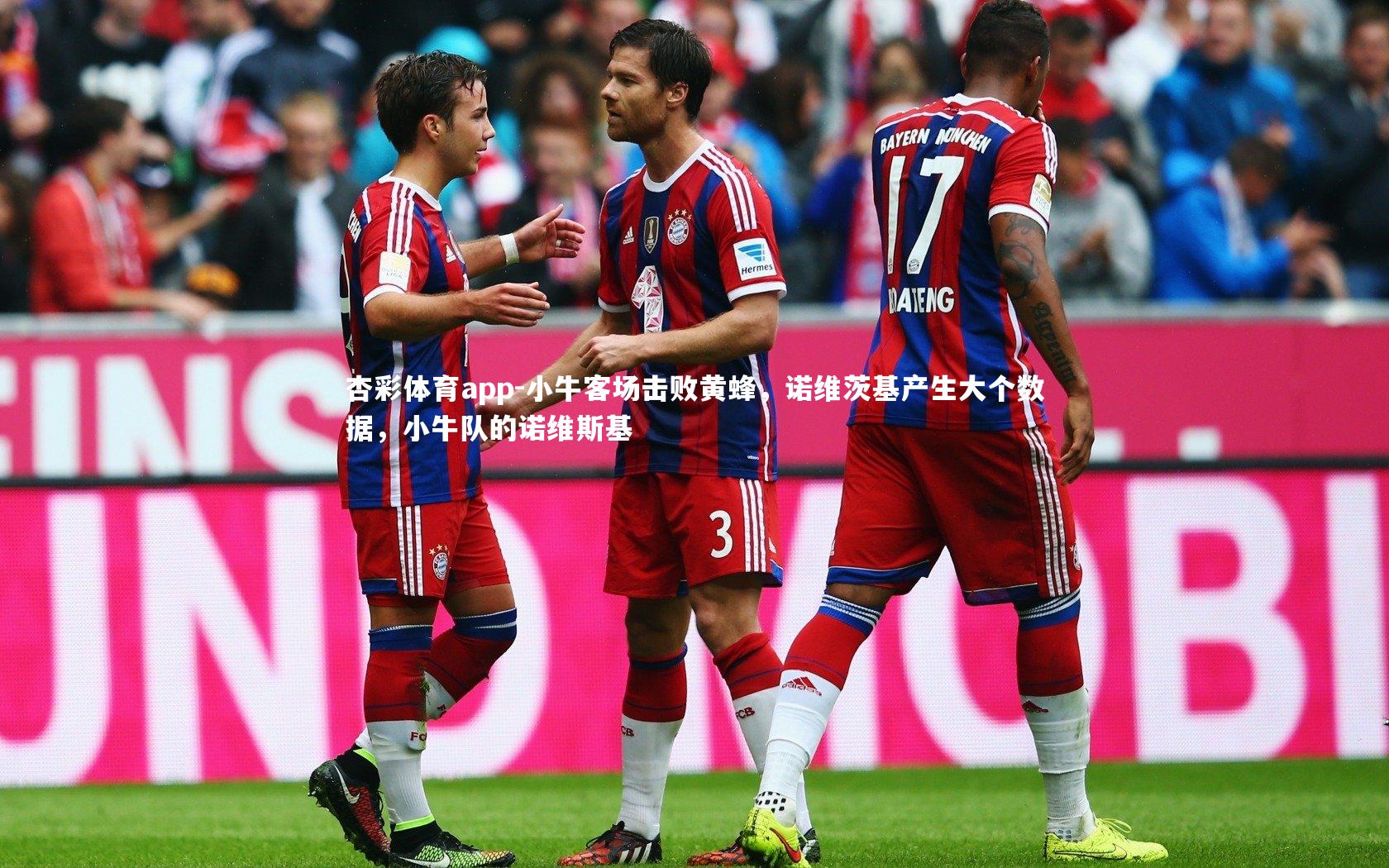 小牛客场击败黄蜂，诺维茨基产生大个数据，小牛队的诺维斯基