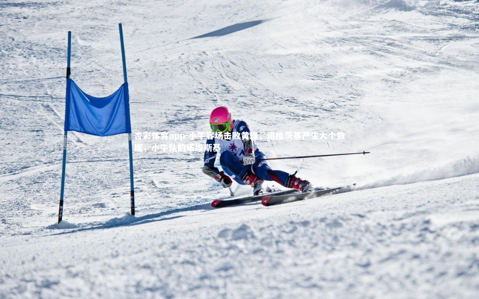 小牛客场击败黄蜂，诺维茨基产生大个数据，小牛队的诺维斯基
